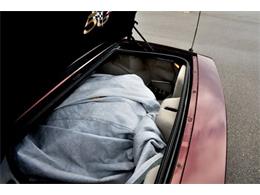 2003 Chevrolet Corvette (CC-2067304) for sale in Manistee, Michigan