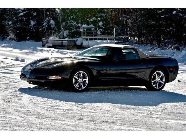 2001 Chevrolet Corvette (CC-2067311) for sale in Manistee, Michigan