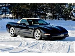 2001 Chevrolet Corvette (CC-2067311) for sale in Manistee, Michigan