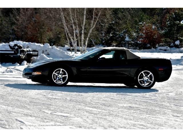 2001 Chevrolet Corvette (CC-2067311) for sale in Manistee, Michigan