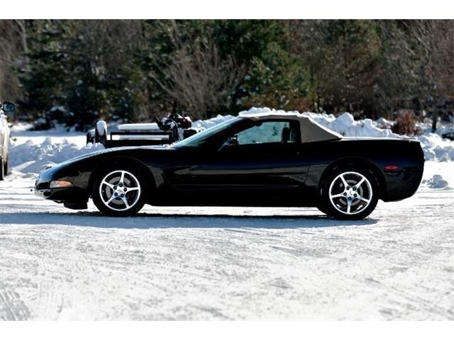 2001 Chevrolet Corvette (CC-2067311) for sale in Manistee, Michigan