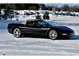 2001 Chevrolet Corvette (CC-2067311) for sale in Manistee, Michigan