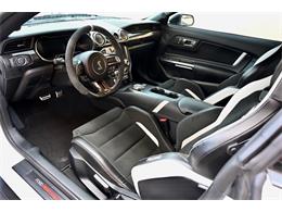 2021 Shelby GT500 (CC-2067338) for sale in St. George, Utah