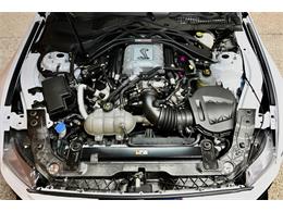 2021 Shelby GT500 (CC-2067338) for sale in St. George, Utah