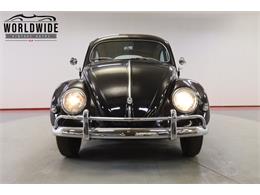 1956 Volkswagen Beetle (CC-2067347) for sale in Denver , Colorado