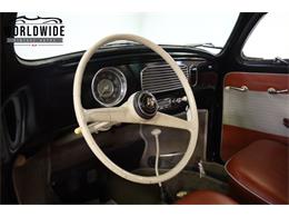 1956 Volkswagen Beetle (CC-2067347) for sale in Denver , Colorado