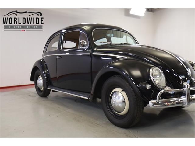 1956 Volkswagen Beetle (CC-2067347) for sale in Denver , Colorado