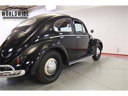 1956 Volkswagen Beetle (CC-2067347) for sale in Denver , Colorado