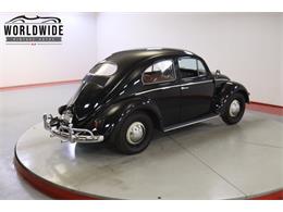 1956 Volkswagen Beetle (CC-2067347) for sale in Denver , Colorado