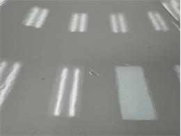 1988 Pontiac Firebird (CC-2067356) for sale in Morgantown, Pennsylvania