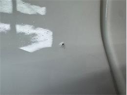 1988 Pontiac Firebird (CC-2067356) for sale in Morgantown, Pennsylvania