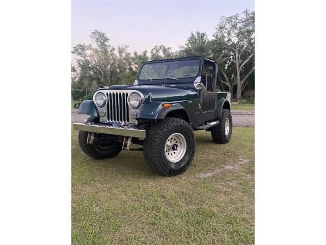 1985 Jeep CJ7 (CC-2067419) for sale in Cadillac, Michigan
