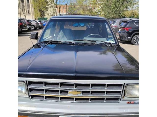 1989 Chevrolet Blazer (CC-2067427) for sale in Cadillac, Michigan