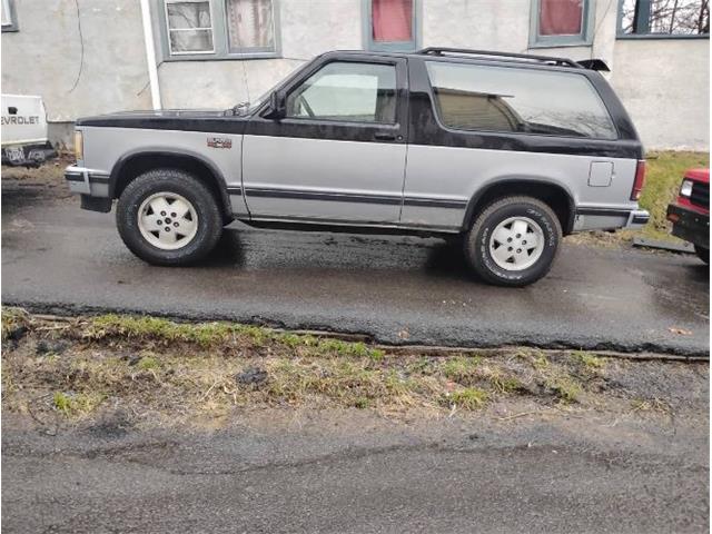 1989 Chevrolet Blazer (CC-2067427) for sale in Cadillac, Michigan
