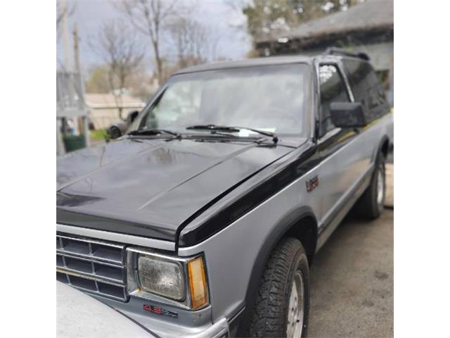 1989 Chevrolet Blazer (CC-2067427) for sale in Cadillac, Michigan