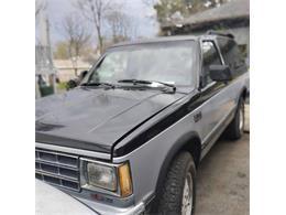 1989 Chevrolet Blazer (CC-2067427) for sale in Cadillac, Michigan