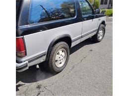 1989 Chevrolet Blazer (CC-2067427) for sale in Cadillac, Michigan