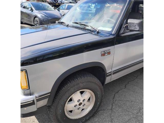 1989 Chevrolet Blazer (CC-2067427) for sale in Cadillac, Michigan