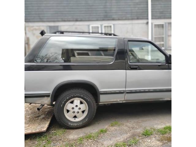 1989 Chevrolet Blazer (CC-2067427) for sale in Cadillac, Michigan