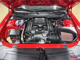 2023 Dodge Challenger (CC-2067525) for sale in Glen Ellyn, Illinois