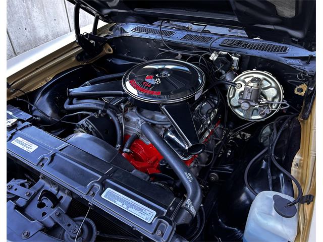 1970 Chevrolet Chevelle SS (CC-2067593) for sale in Allentown, Pennsylvania