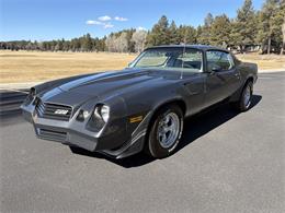 1980 Chevrolet Camaro Z28 (CC-2067605) for sale in Munds Park, Arizona