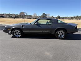 1980 Chevrolet Camaro Z28 (CC-2067605) for sale in Munds Park, Arizona