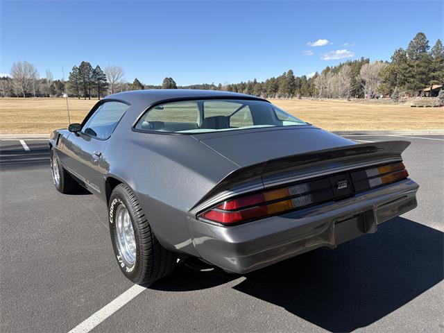 1980 Chevrolet Camaro Z28 (CC-2067605) for sale in Munds Park, Arizona