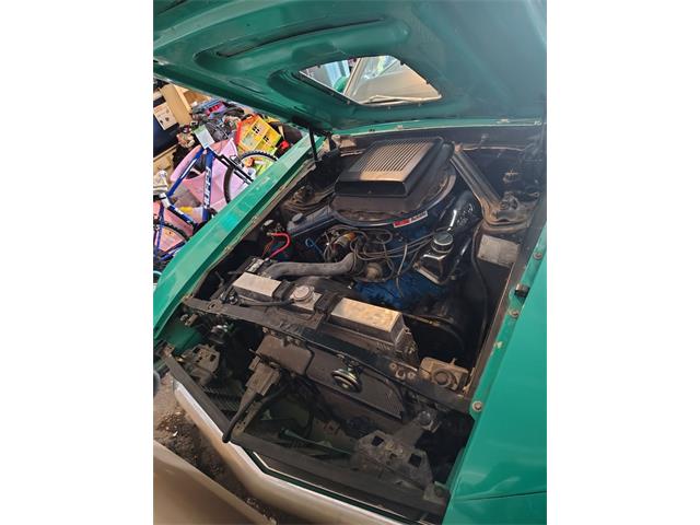 1970 Ford Mustang Mach 1 (CC-2067628) for sale in Corpus Christi, Texas