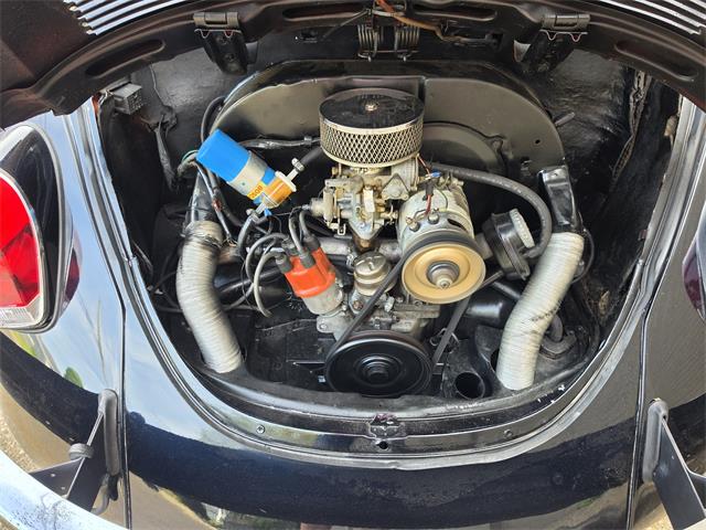 1971 Volkswagen Beetle Convertible (CC-2067631) for sale in Canton, Ohio