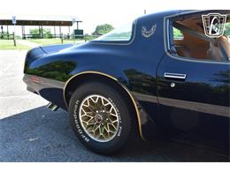 1977 Pontiac Firebird (CC-2067664) for sale in Smyrna, Tennessee