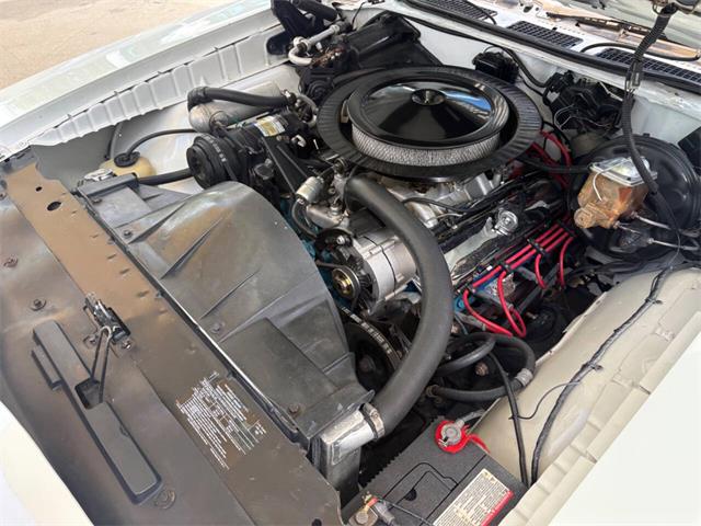 1970 Pontiac GTO (CC-2067665) for sale in Bradington, Florida