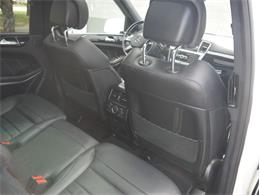 2014 Mercedes-Benz GL-Class (CC-2067687) for sale in Palmetto, Florida