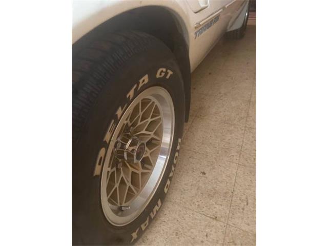 1980 Pontiac Firebird (CC-2067716) for sale in Cadillac, Michigan