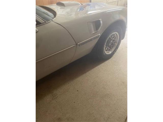 1980 Pontiac Firebird (CC-2067716) for sale in Cadillac, Michigan