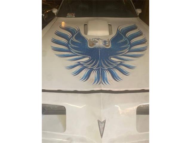 1980 Pontiac Firebird (CC-2067716) for sale in Cadillac, Michigan