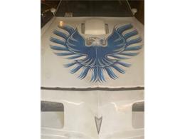 1980 Pontiac Firebird (CC-2067716) for sale in Cadillac, Michigan