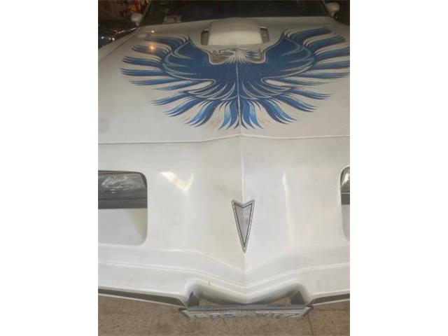 1980 Pontiac Firebird (CC-2067716) for sale in Cadillac, Michigan