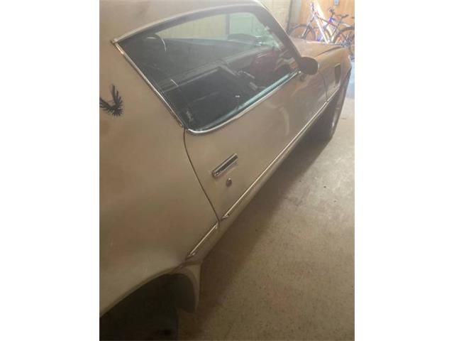 1980 Pontiac Firebird (CC-2067716) for sale in Cadillac, Michigan