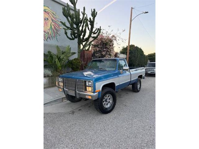1981 Chevrolet K-10 (CC-2067726) for sale in Cadillac, Michigan