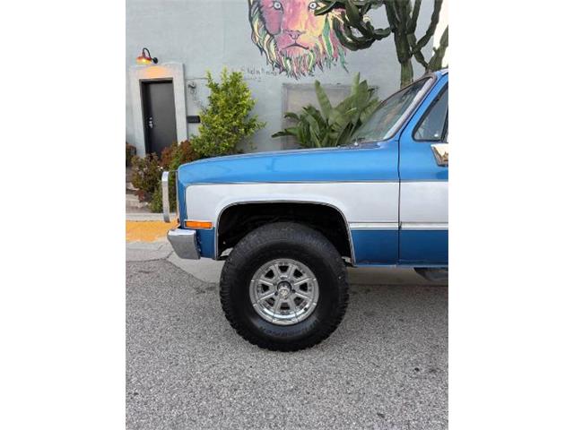 1981 Chevrolet K-10 (CC-2067726) for sale in Cadillac, Michigan