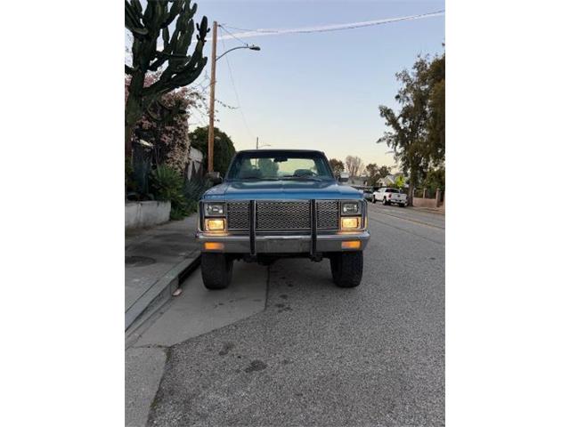 1981 Chevrolet K-10 (CC-2067726) for sale in Cadillac, Michigan