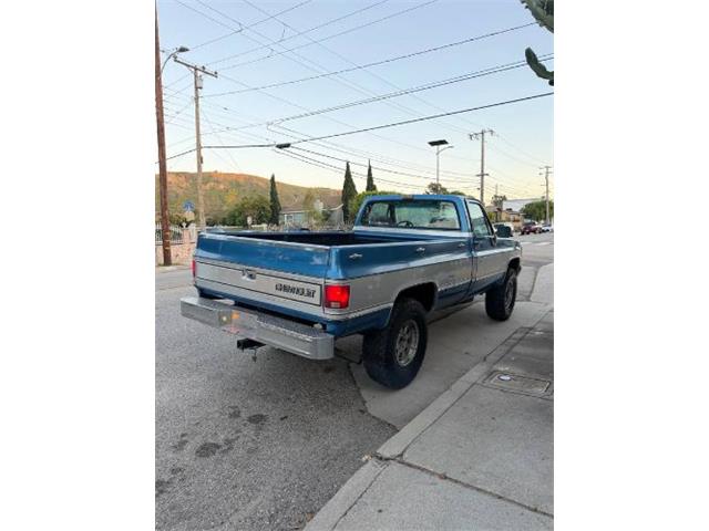 1981 Chevrolet K-10 (CC-2067726) for sale in Cadillac, Michigan