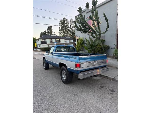 1981 Chevrolet K-10 (CC-2067726) for sale in Cadillac, Michigan