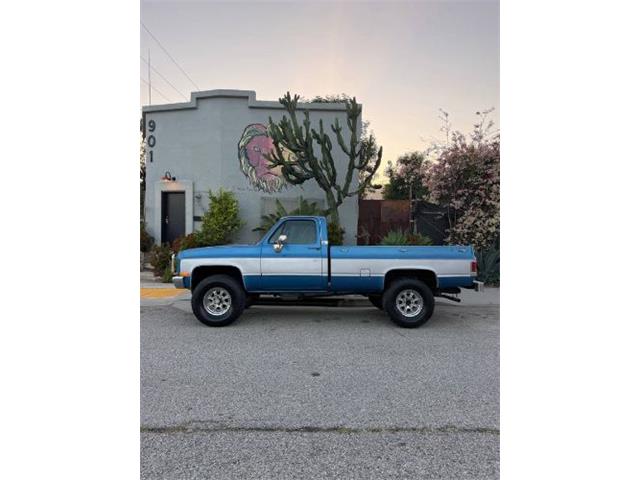 1981 Chevrolet K-10 (CC-2067726) for sale in Cadillac, Michigan