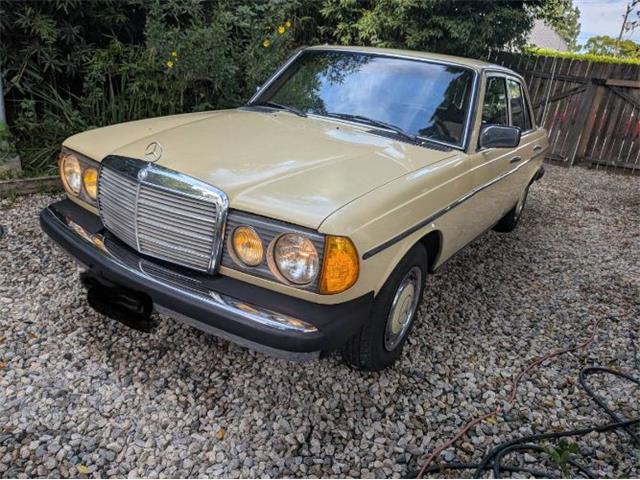 1977 Mercedes-Benz 300D (CC-2067728) for sale in Cadillac, Michigan
