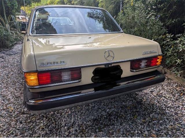1977 Mercedes-Benz 300D (CC-2067728) for sale in Cadillac, Michigan