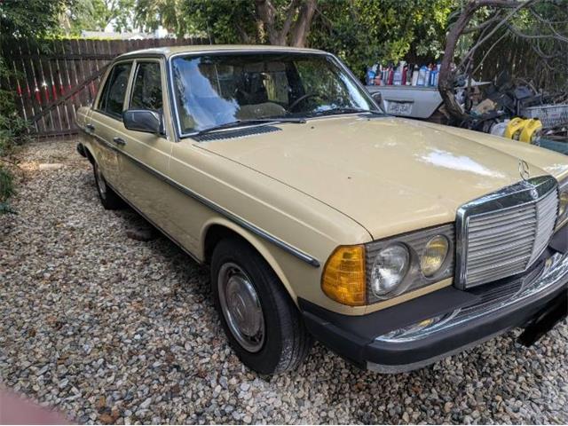 1977 Mercedes-Benz 300D (CC-2067728) for sale in Cadillac, Michigan