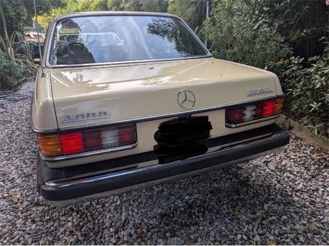1977 Mercedes-Benz 300D (CC-2067728) for sale in Cadillac, Michigan