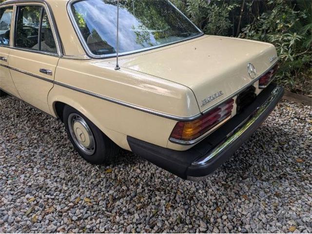 1977 Mercedes-Benz 300D (CC-2067728) for sale in Cadillac, Michigan